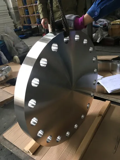 Anel/Flange/Cotovelo de Forjamento de Titânio para Conexão